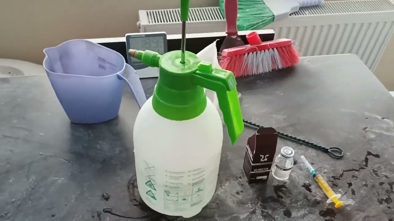 Muhabbet Kuşlarımıza Bit Pire Parazit Oluşmaması İçin VİLMECTİN Uyguladık