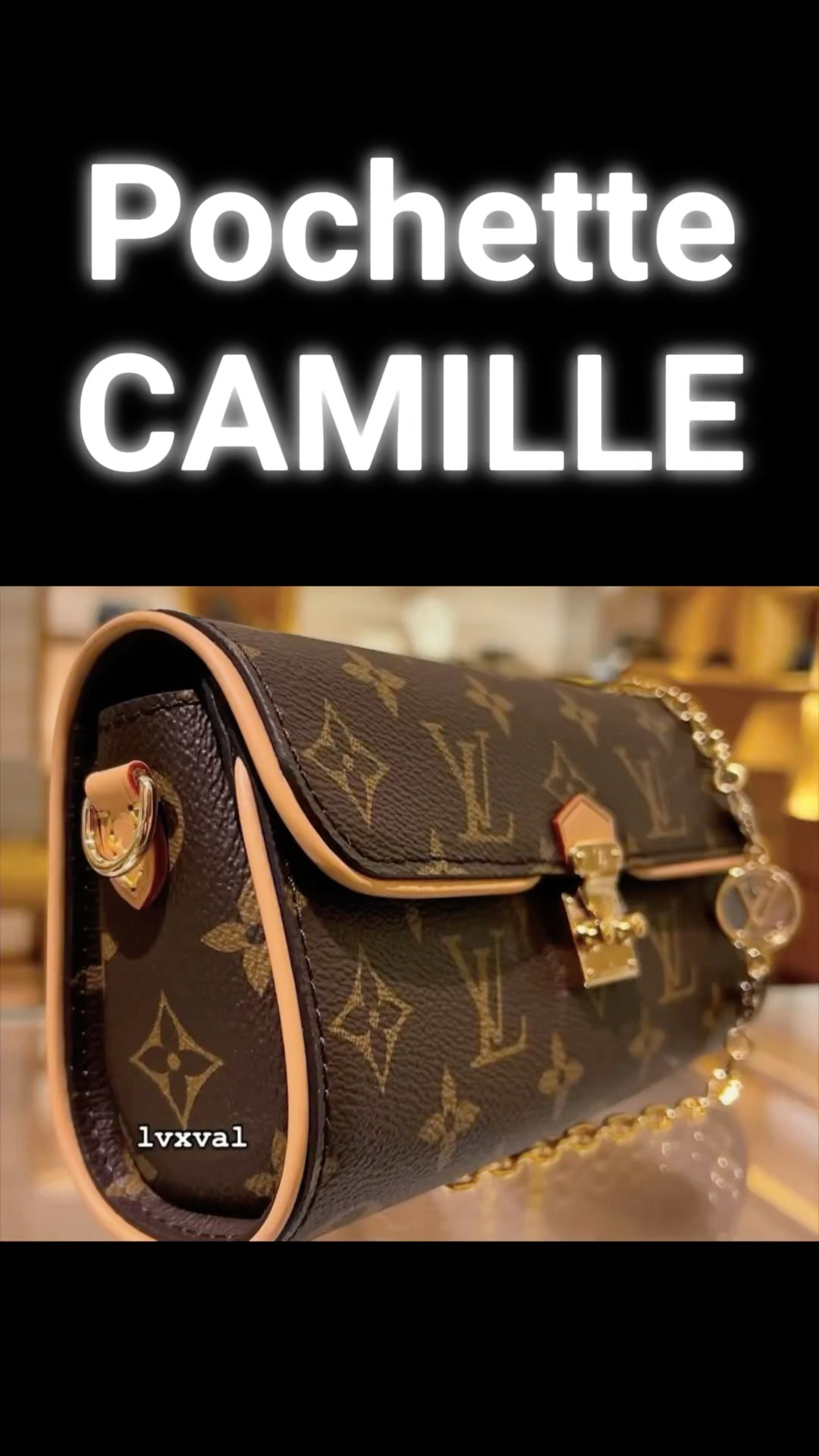 NEW LOUIS VUITTON CAMILLE POCHETTE CLASSIC MONOGRAM CANVAS
