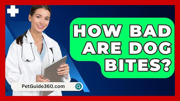 How Bad Are Dog Bites? - PetGuide360.com