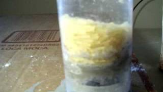 fluidization 009.mpg