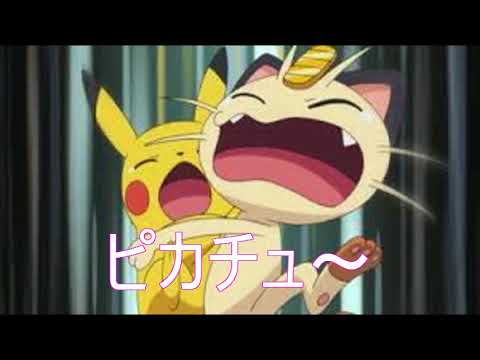 ポケモン 癒されるう 可愛い二匹が日本語で言えない事を ピカチュ ニャース Youtube