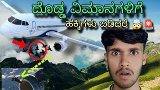 ದೊಡ್ಡ ವಿಮಾನಕ್ಕೆ ಹಕ್ಕಿಗಳು ಬಡಿದರೆ ವಿಮಾನ ಎಷ್ಟು safe? 👨✈️🤯Birds strike aeroplane 🚨