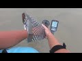 Beach Metal Detecting