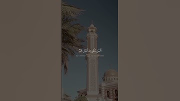 إِنَّ ٱلَّذِينَ يُلۡحِدُونَ فِيٓ ءَايَٰتِنَا | كامل يوسف البهتيمي | سورة فُصلت