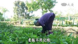 【草根菩提】20141029 - 曾經走過