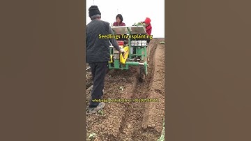 Seedlings Transplanting: Efficient Vegetable Transplanting: 2-Row Transplanter in Action!  #planting