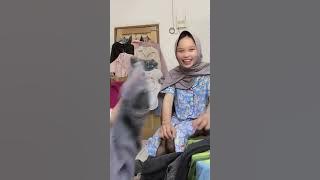 Cewek live tiktok sampai kelihatan bawah 🤤🤤💦‼️‼️