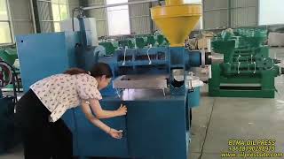 6yl-100 model combined oil press machine