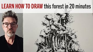 How you can draw this part of a forest in about 20 minutes.