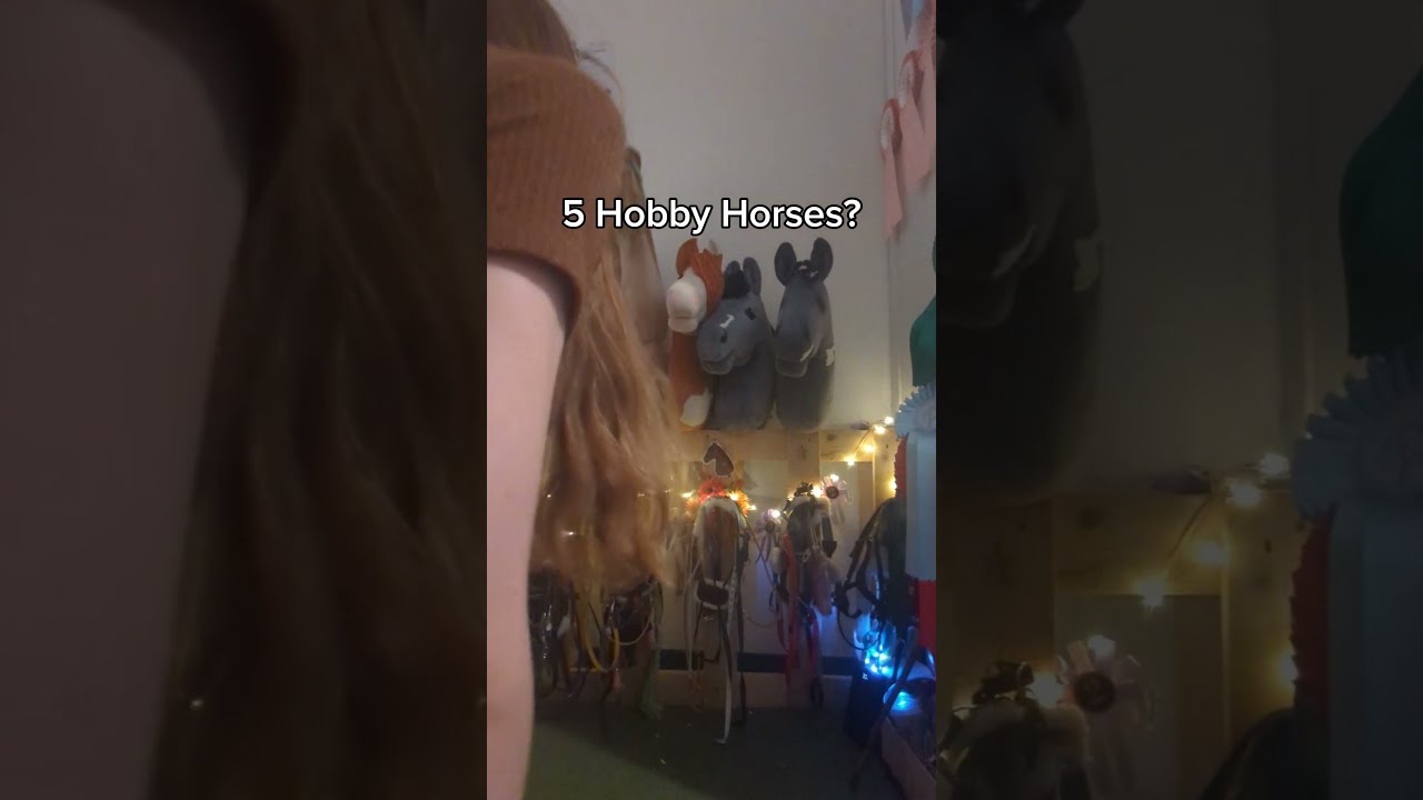 How Many Hobby Horses Do You Have Hobbyhorse Horse Hobbyhorsing Equestrian Comedy Fyp Viral