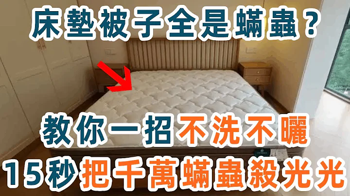床墊、被子用久了全是蟎蟲！教你一個土方法，不用洗、不用曬，15秒把蟎蟲殺關關！再也不會身體發癢，簡單又實用【養生1+1】 - 天天要聞