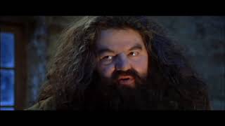Кадр из фильма Гарри Поттер и философский камень / Harry Potter and the Sorcerer's Stone (2001) года