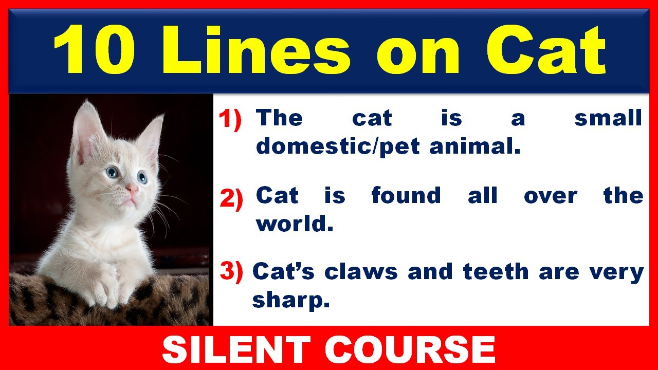 five lines essay on cat