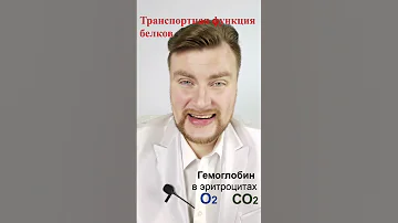 Транспортная функция белков. ЕГЭ Биология. ЕГЭ 2021.