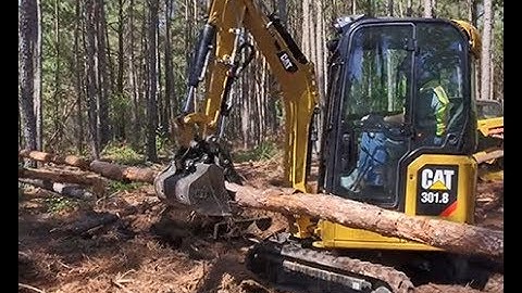 Cat® 1-Ton Thumb Attachment at Work