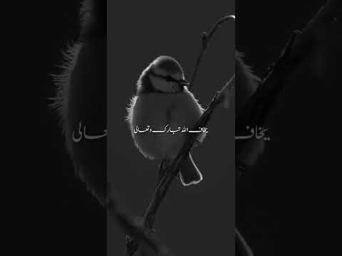 نعمة الأصحاب خواطر تصميمي اقتباسات استغفرالله علمتني