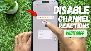 How to Disable Channel Reactions on WhatsApp