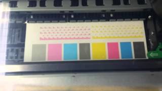 Epson 4880 Nozzle