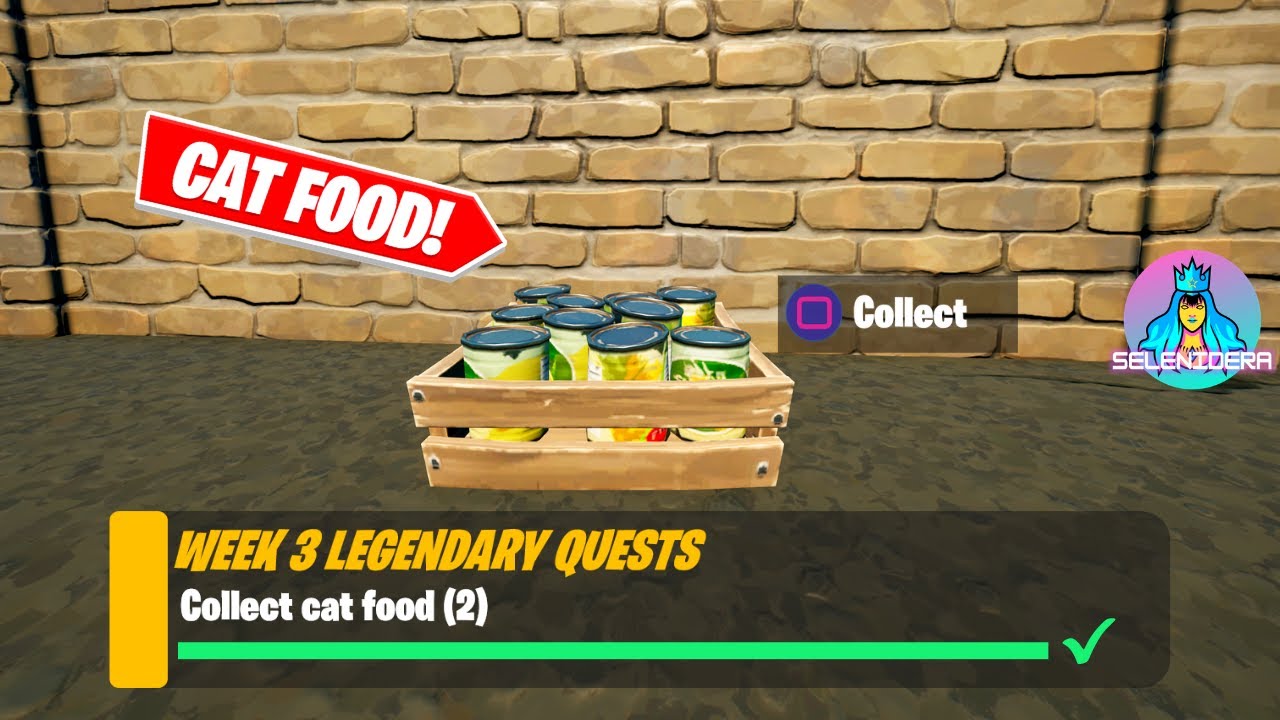 Collect Cat Food (2) Fortnite Week 3 Legendary Quests YouTube