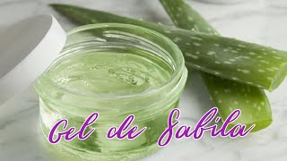 Gel de Sabila / Aloe Vera  Como se Conservar el gel de SABILA?