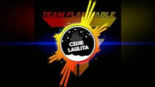 Lifa Nabila - Goyang Wik Wik ( Sound Check Battle Remix ) Cedie Laulita | Team Flammable