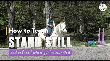 How to Teach Your Horse to Stand Still and Relaxed Once You