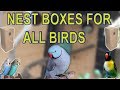WOODEN NEST BOXES IN HIGH QUALITY FOR BUDGIES, LOVEBIRDS, COCKATIELS, RINGNECK, RAW AND AFRICAN GREY WOODEN NEST BOXES IN HIGH QUALITY FOR BUDGIES, LOVEBIRDS, COCKATIELS, RINGNECK, RAW AND AFRICAN GREY