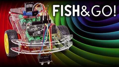 Fishino WiFi Rover with Blynk APP- Fish&Go