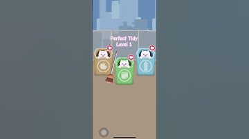 Perfect Tidy Level 1 #perfecttidy #tidyingup #tidyup #organizer #cleaning
