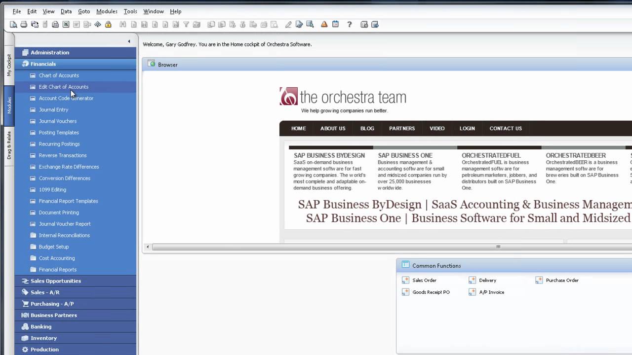 Chart Of Accounts In Sap Business One