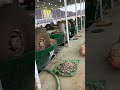 Low noise, energy-saving and eco-friendly, the new choice for green gold grinding!