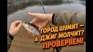 Город шумит — а джиг молчит? Проверяю!
