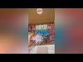 Packaging Order Compilation (Malaysia Edition) PART 1  (Support Small Business On Tik Tok)