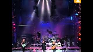 Heart, The Woman in Me, Festival de Viña 1994