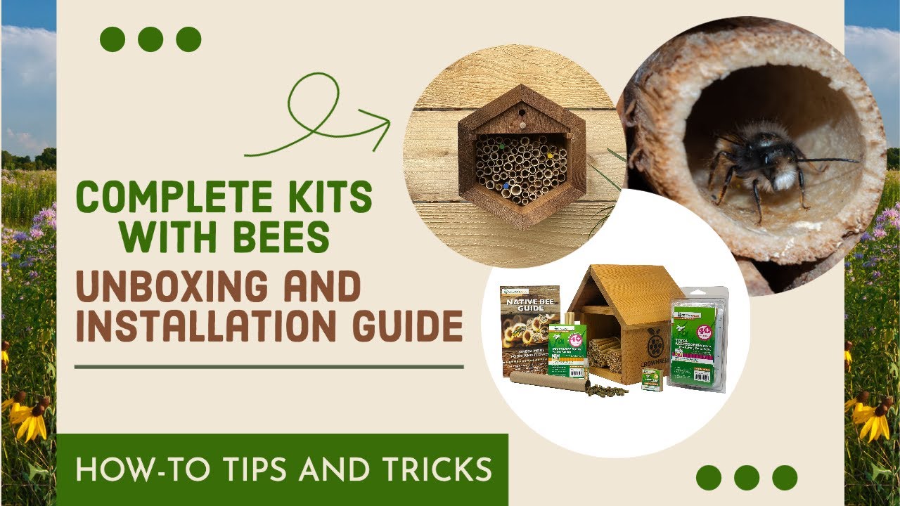 How do bees make honey? – ScottishBeeCompany