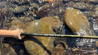 The Best Budget Streamer Fly Rod of 2024 - Echo 84B Review by Watershed Fly Shop 542 views 4 weeks ago 1 minute, 27 seconds