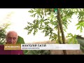 83. Бананова ферма  тропічний рай під снігом Espreso TV 21.02.2019