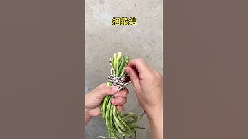 7390769078371093795.mp4