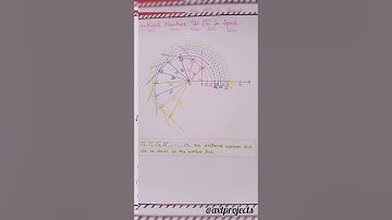 Class-9..Maths--Number Systems..Short Activity..@axtprojects