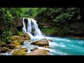 Waterfall Sounds 😴 Can’t Rest Again? Let This Help