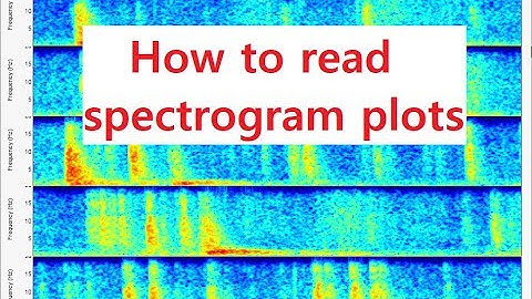 How to read Spectrogram plots - Best plots to generate are from the program SWARM!