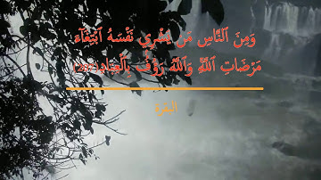 "ومن الناس من يشري نفسه ابتعاء مرضات الله"،،، الآية (207) من سورة البقرة(برواية شعبة عن عاصم)
