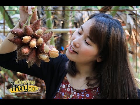 ตะลุย !!! สวนยายดา แหล่งท่องเที่ยวเชิงเกษตร | เมืองไทยใหญ่อุดม
