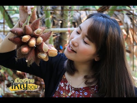 ตะลุย !!! สวนยายดา แหล่งท่องเที่ยวเชิงเกษตร  | เมืองไทยใหญ่อุดม