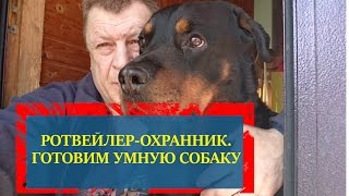 РОТВЕЙЛЕР-ТЕЛОХРАНИТЕЛЬ.ГОТОВИМ УМНУЮ СОБАКУ. #4