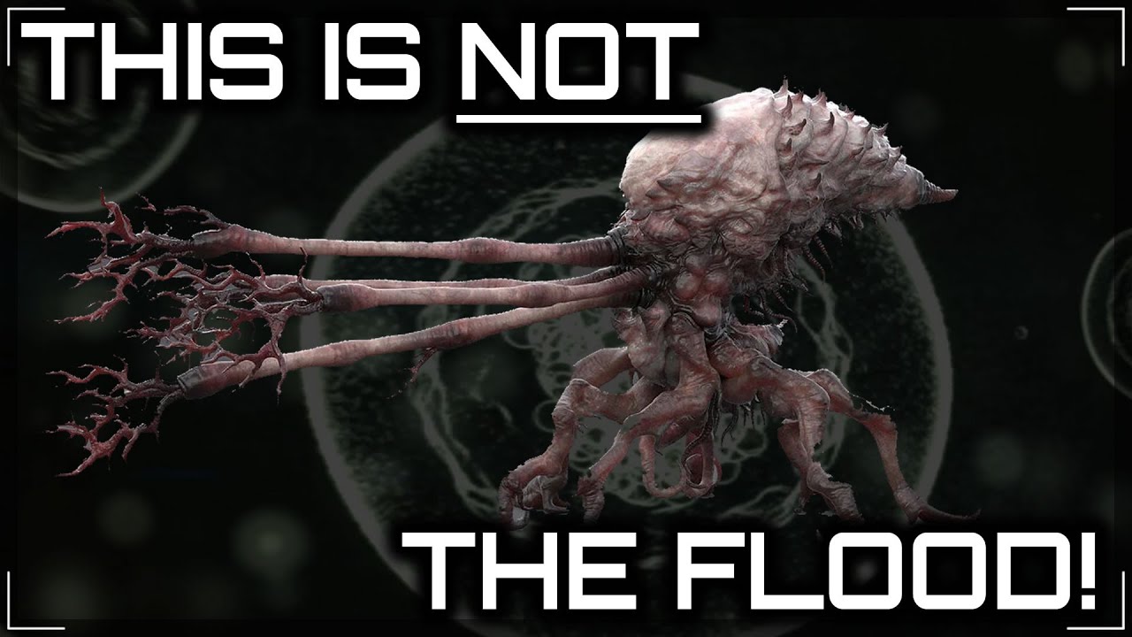 The True Nature of the Flood | Pt.5/6