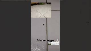 INSECONT Insect Control Pengendali Serangga