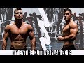 My Summer 2019 Cutting Plan | Full Day Of Eating And Training