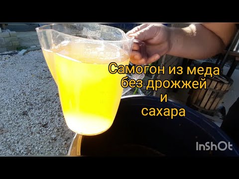 Самогон из меда в домашних условиях без дрожжей