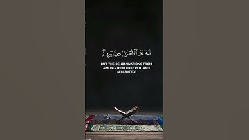 فإختلف الأحزاب من بينهم | بدر البشر | سورة الزخرف.  #المصحف #quran #اكسبلور #القرآن_الكريم